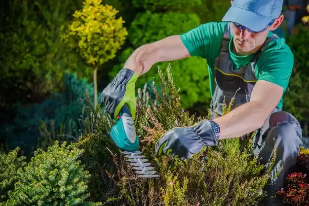landscaping services Peebles